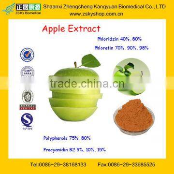 GMP Factory Supply Pure Apple Extract Procyanidin b2