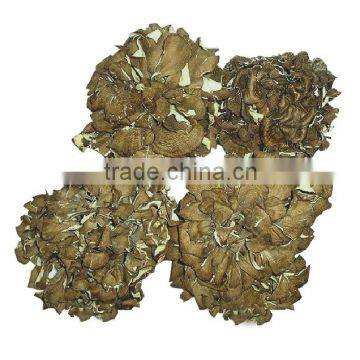 GMP Kosher Natural Maitake Mushroom Extract Polysaccharide photo-2