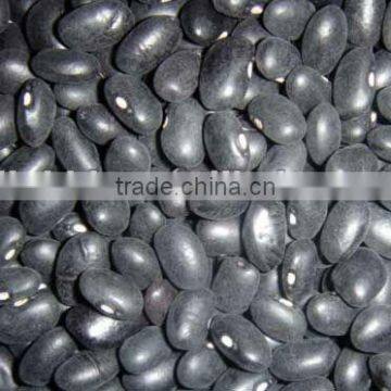 China small black kidney bean