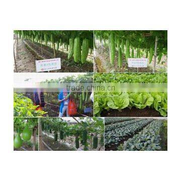 Guangdong Helinong Seeds Co., Ltd.