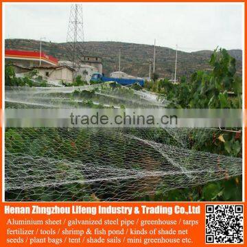 high quality nylon fruit anti bird protective net , hdpe uv wire mesh bird capture net , pe plastic fence bird protection net