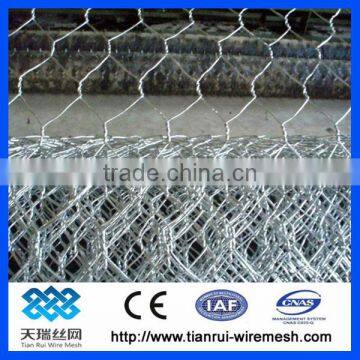 Hexagonal Wire Netting/chicken Wire Mesh photo-4