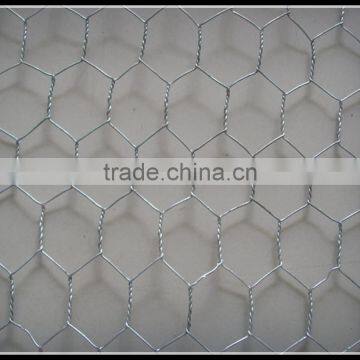 Hexagonal steel wire mesh / iron wire mesh for sale