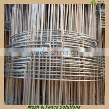 Galvanized Wire Fencings for Pigs