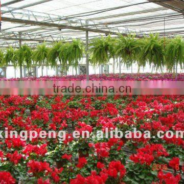 Poly Carbonate Greenhouses