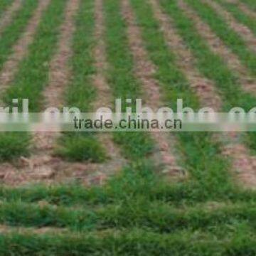 Farm Tractor Use Universal Planter, Wheater Seeder,barley Seeder Oats Seeder Sorghum Seeder Millet Seeder With Fertilizer photo-6