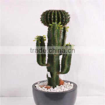 SJ3001106 Plastic cactus indoor outdoor potted plant tree