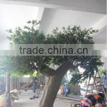 Artificial Olive Tree , Large Fake Olive Tree for Sale photo-2