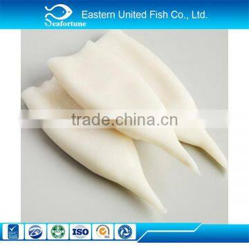 frozen bulk squid tube