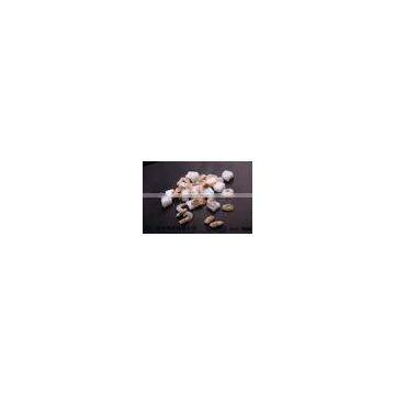 Price of Mussels in Shellfish Import Export Frozen Seafood