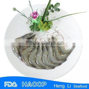 HL002 hot sale frozen white shrimp vannamei HACCP Certification