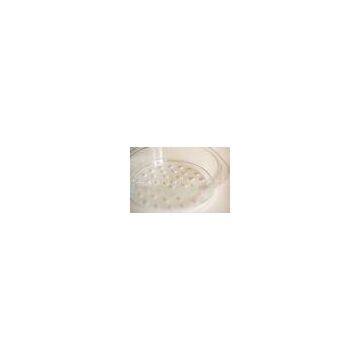 Healthy High Borosilicate Pyrex Glass Steamer , Dia. 20cm And 24cm