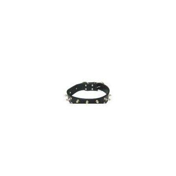 Sell Dog Collar