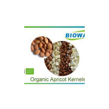 Organic Apricot Kernels