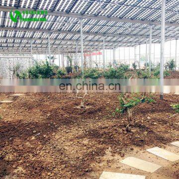 2017 Hot Selling Single Span Solar Agriculture Greenhouse For Tomato In China