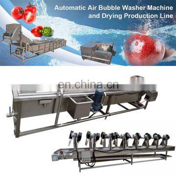 Fruit Cleaner Persimmon Papaya Carrot Washing Machine Restaurant Vegetable Washing Machine photo-7