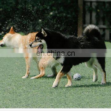 Elastic Pet Toy Ball Dogs Interactive Teasing Entertaining Toy Teeth Grinding Pet Supplies photo-2