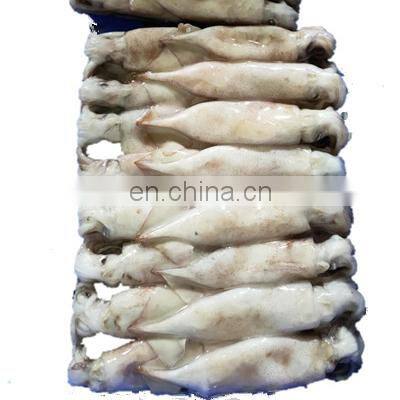 Good price frozen illex squid block for bait