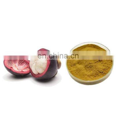 Fruit and Vegetable Powder Mangosteen Fruit Powder Mangosteen Juice Powder