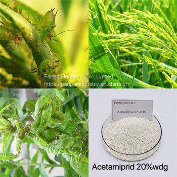 Insecticide Acetamiprid 20wdg Acetamiprid Agriculture Acetamipride for Rice photo-3