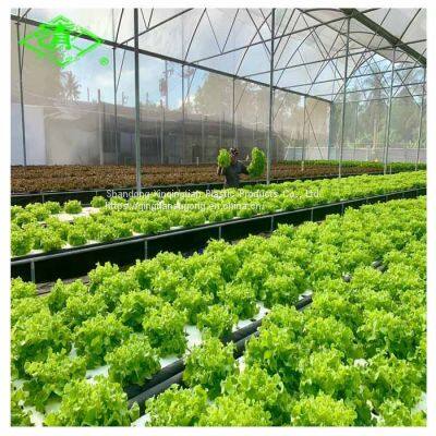 Hot Sale UV-protection Plastic Sheed 3-5 Layers Clear Anti-fog Plastic Film Covering Greenhouse photo-5