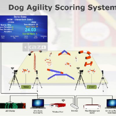 Dog Agility Scoring System