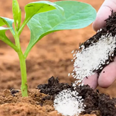 Super Absorbent Water Gel Potassium Sodium Polyacrylate Powder Sap Water Retention Agent for Agriculture