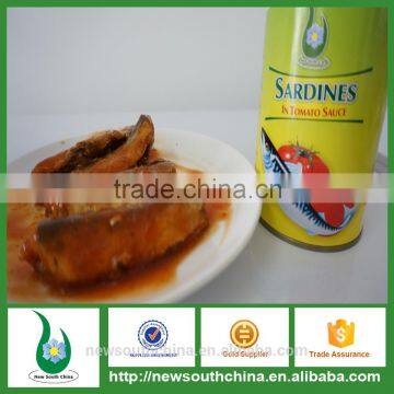 Buy canned sardines in tomato sauce with factory price