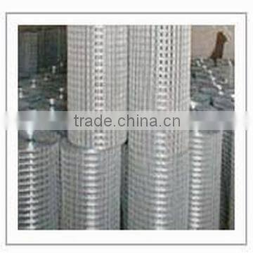 Welded wire mesh 3/4"