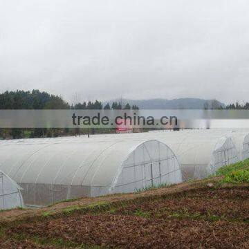 3.5m Height Tunnel Greenhouse for Growers photo-2