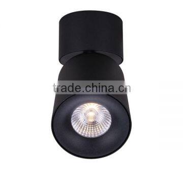 Adjustable 10W 700mA warm white led surface light, led adjustable surface light                        
                                                Quality Choice