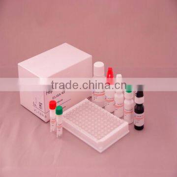 Hepatitis virus elisa test kit for hav hbv hcv hev