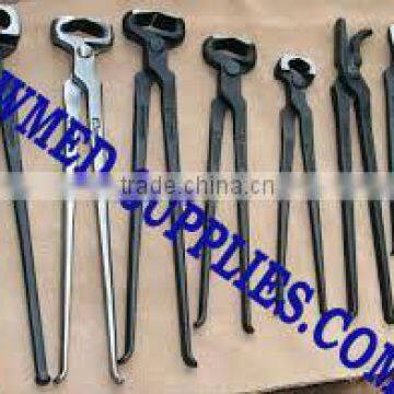 Veterinary Instruments