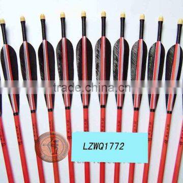 Feather Arrows LZWQ1772