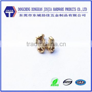 China manufacture special brass screw