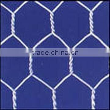 Hexagonal Wire mesh Gabion Mesh