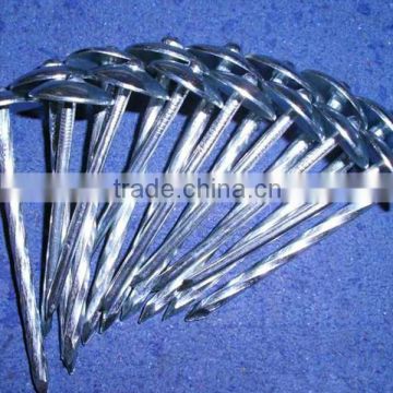 High quality galvanized umbrella roofing naill (manufacturers)