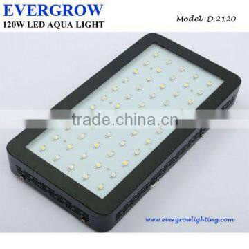 Multicolorful D2120 Manual Dimmable 20000k Aquarium Led Light