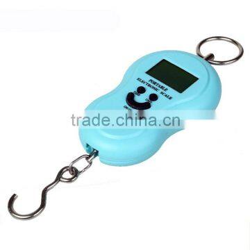 Mini Portable Hand Held Scale 40Kg With Hook