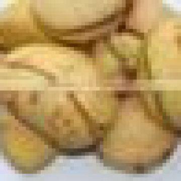 High Quality Hot Sale Kola Nuts