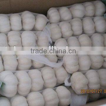 chinese new white garlic