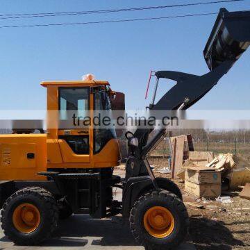Cheap Price Chinese Famous Skip Loader for Sale photo-5