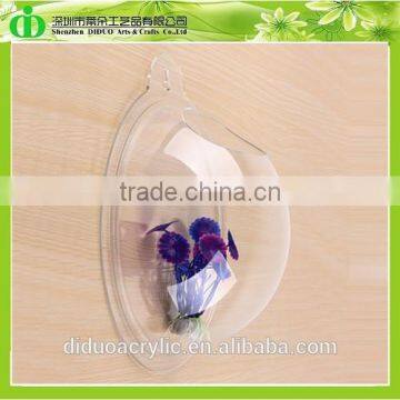 DDT-0064 Trade Assurance Aquarium Fish Wholesale