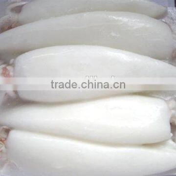 frozen big cuttlefish whole round clean iqf