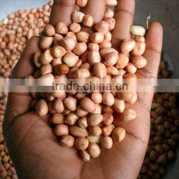 Indian Peanuts