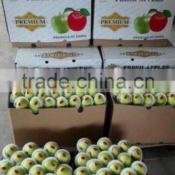 Green Gaga Apple photo-2