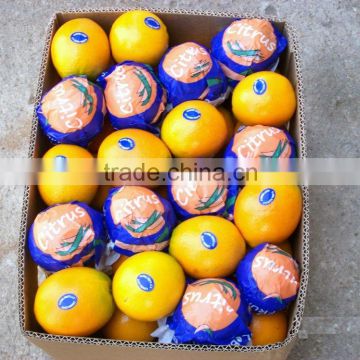 fresh oranges