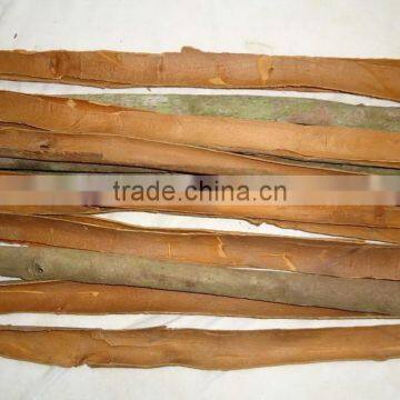 Vietnam split Cassia at cheap price and high quality