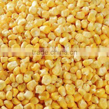 FD Freeze Dried Vegetables photo-6