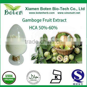 60% HCA Garcinia Cambogia extract
